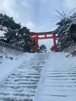 函館護國神社の鳥居