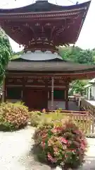 金剛寺の建物その他