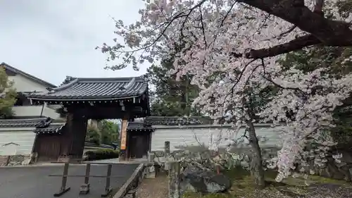 隨心院（随心院）(京都府)