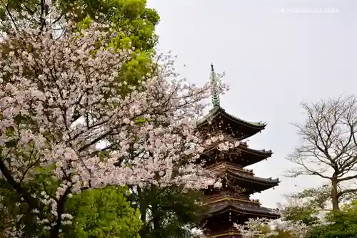 上野東照宮の塔