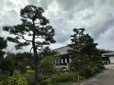 蓮華王院（三十三間堂）(京都府)