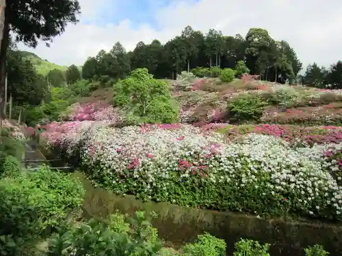 三室戸寺の庭園