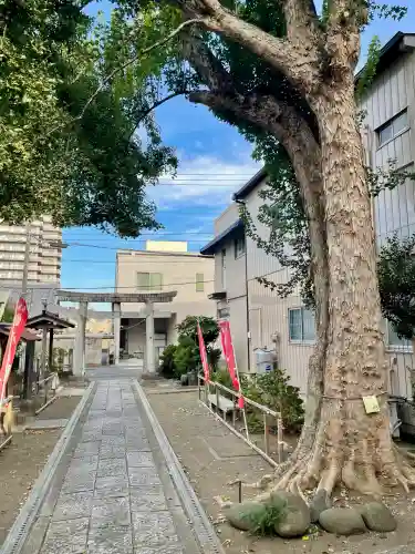 諏訪八幡神社(茨城県)