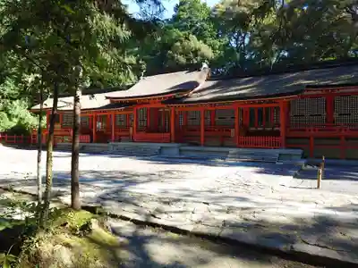 宇佐神宮(大分県)