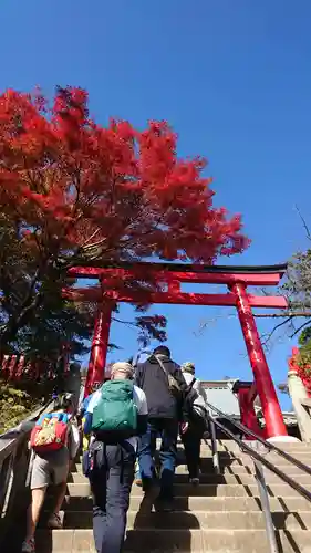 高尾山薬王院の鳥居