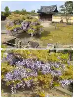 叡福寺の{uncategorized: "未分類", other: "その他", undefined: "問題あり", building: "その他建物", grave: "お墓", sacred_gate: "鳥居", guardian: "狛犬", statue: "像", buddha: "仏像", history: "歴史", nature: "自然", garden: "庭園", animal: "動物", pagoda: "塔", temizu: "手水舎", mountain_gate: "山門・神門", sanctuary: "本殿・本堂", subordinate: "末社・摂社", art: "芸術", scenery: "景色", jizo: "地蔵", ema: "絵馬", goshuin: "御朱印", omikuji: "おみくじ", items: "授与品その他", amulet: "お守り", goshuincho: "御朱印帳", eats: "食事", festival: "お祭り", votive_dance: "神楽", shichigosan: "七五三参", wedding: "結婚式", experience: "体験その他", initially: "初詣", around: "周辺", anti_infection: "感染症対策"}