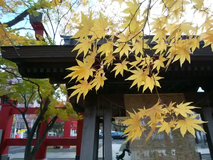 彌彦神社 (伊夜日子神社)の自然