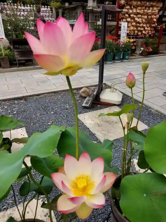 慈尊院(和歌山県)