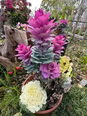 水堂須佐男神社(兵庫県)