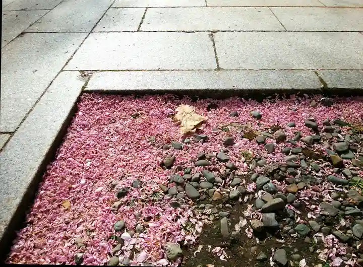 彌彦神社 (伊夜日子神社)の庭園