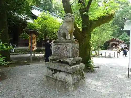 報徳二宮神社の狛犬