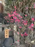 小野照崎神社(東京都)