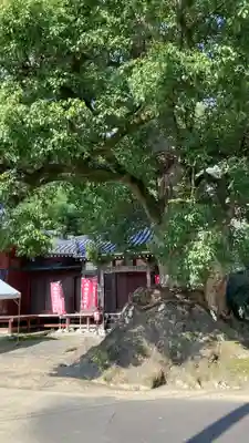 神恵院(香川県)