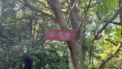 長寿院(滋賀県)