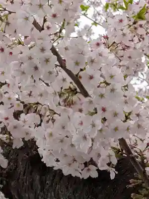 宝仙寺(東京都)