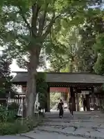 阿佐ヶ谷神明宮(東京都)