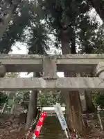 大宮温泉神社(栃木県)