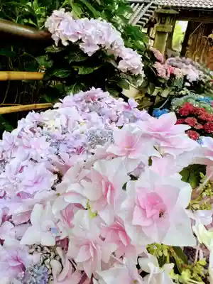 長谷寺(奈良県)