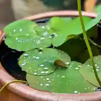 伊勢の国 四天王寺(三重県)