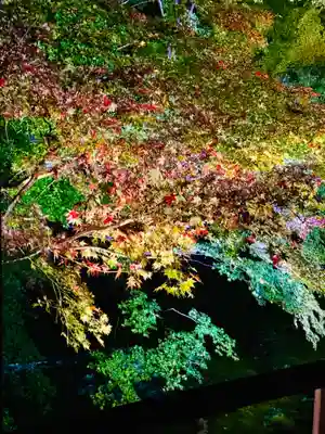 光明寺瑠璃光院(京都府)