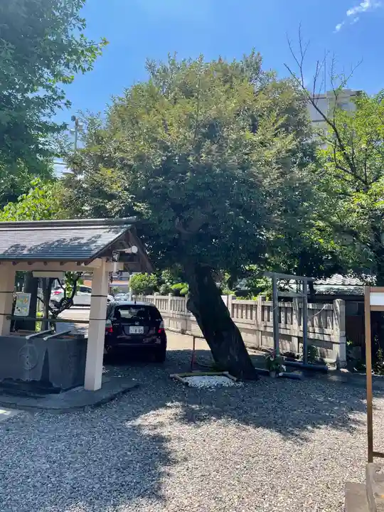 白鬚神社のその他建物