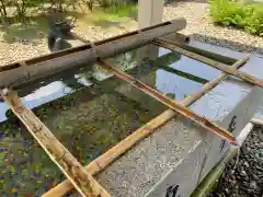 福井県護国神社の手水