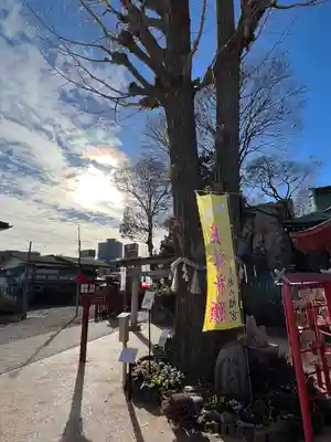 川越八幡宮(埼玉県)