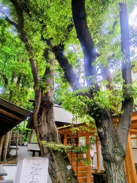 正松神社の{uncategorized: "未分類", other: "その他", undefined: "問題あり", building: "その他建物", grave: "お墓", sacred_gate: "鳥居", guardian: "狛犬", statue: "像", buddha: "仏像", history: "歴史", nature: "自然", garden: "庭園", animal: "動物", pagoda: "塔", temizu: "手水舎", mountain_gate: "山門・神門", sanctuary: "本殿・本堂", subordinate: "末社・摂社", art: "芸術", scenery: "景色", jizo: "地蔵", ema: "絵馬", goshuin: "御朱印", omikuji: "おみくじ", items: "授与品その他", amulet: "お守り", goshuincho: "御朱印帳", eats: "食事", festival: "お祭り", votive_dance: "神楽", shichigosan: "七五三参", wedding: "結婚式", experience: "体験その他", initially: "初詣", around: "周辺", anti_infection: "感染症対策"}
