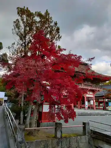 津島神社の自然