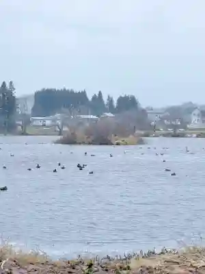 五郎沼薬師神社の{uncategorized: "未分類", other: "その他", undefined: "問題あり", building: "その他建物", grave: "お墓", sacred_gate: "鳥居", guardian: "狛犬", statue: "像", buddha: "仏像", history: "歴史", nature: "自然", garden: "庭園", animal: "動物", pagoda: "塔", temizu: "手水舎", mountain_gate: "山門・神門", sanctuary: "本殿・本堂", subordinate: "末社・摂社", art: "芸術", scenery: "景色", jizo: "地蔵", ema: "絵馬", goshuin: "御朱印", omikuji: "おみくじ", items: "授与品その他", amulet: "お守り", goshuincho: "御朱印帳", eats: "食事", festival: "お祭り", votive_dance: "神楽", shichigosan: "七五三参", wedding: "結婚式", experience: "体験その他", initially: "初詣", around: "周辺", anti_infection: "感染症対策"}