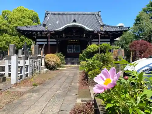 感應寺の本殿・本堂