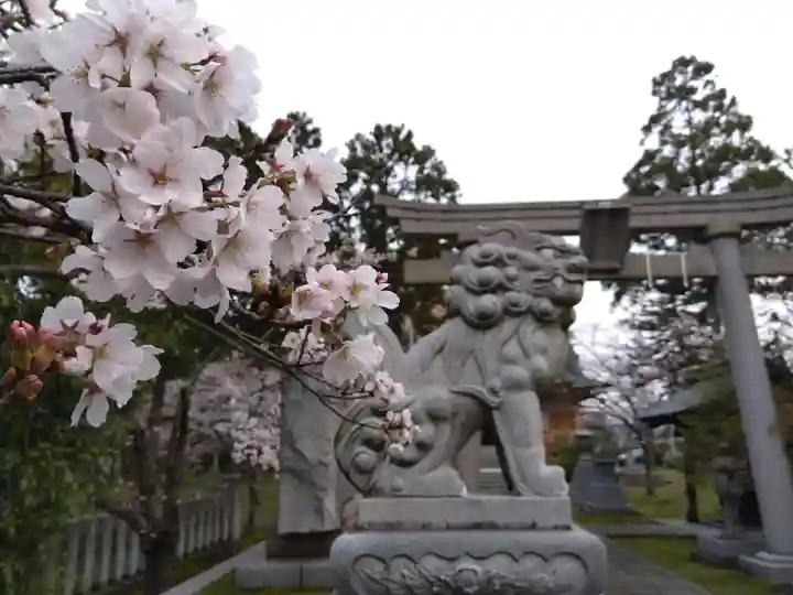 櫻谷神社(福井県)