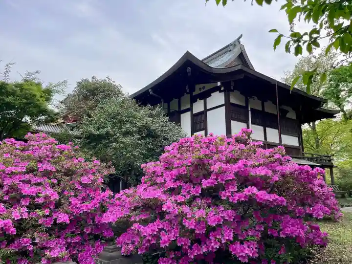 清水観音堂(東京都)