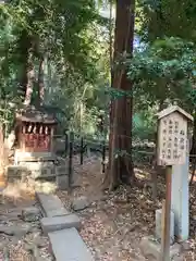 鷲宮神社(埼玉県)