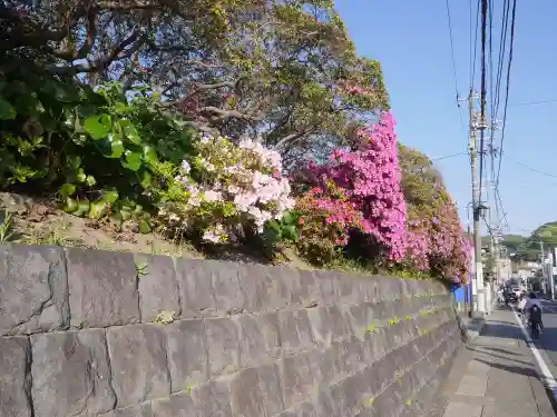 安養院　(田代寺）の自然