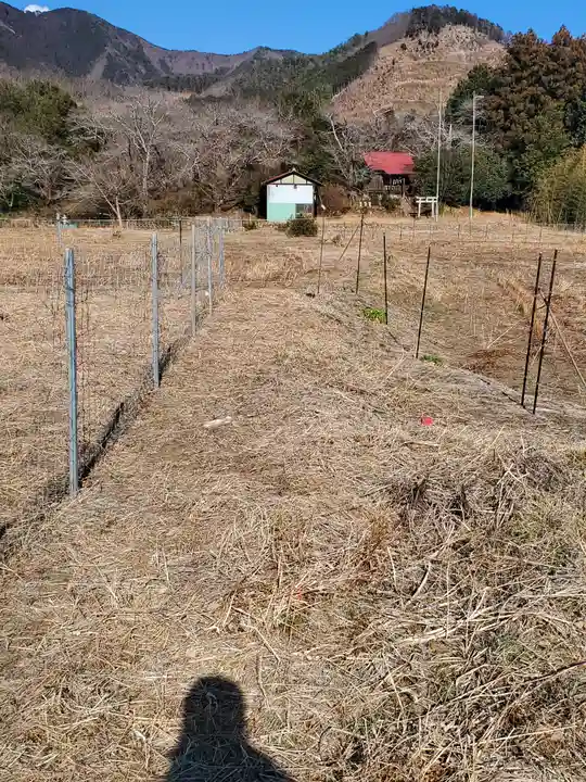 大塚神社(飛駒町)(栃木県)
