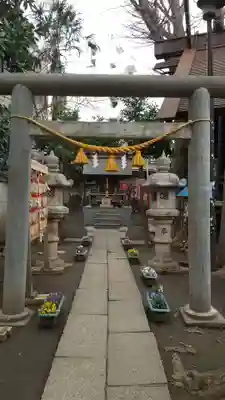 高円寺氷川神社の鳥居