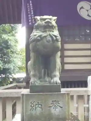野々宮神社の狛犬