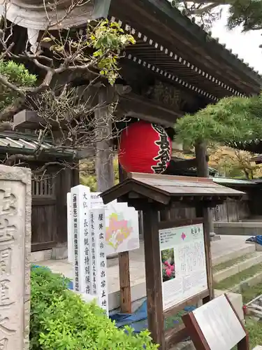 長谷寺の山門