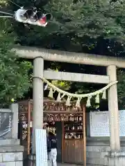 川越氷川神社(埼玉県)