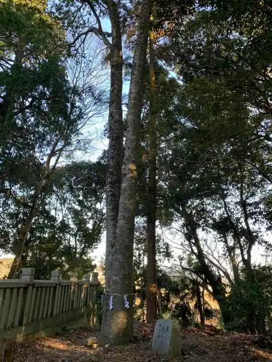 岩壷神社の自然