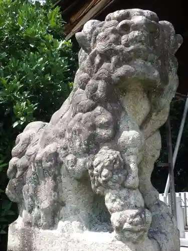 白山神社（木曽川町黒田）の狛犬