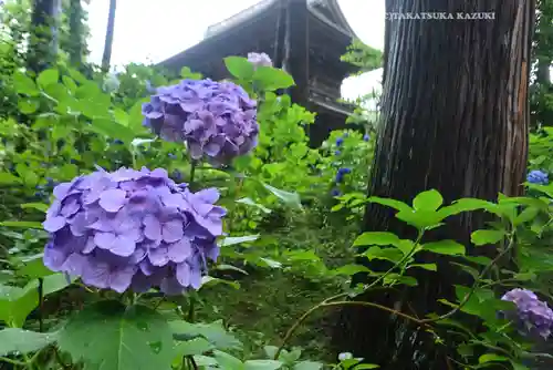 円覚寺(神奈川県)