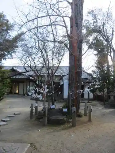 薬園八幡神社のその他建物