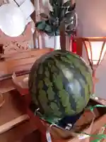 伏木香取神社(茨城県)