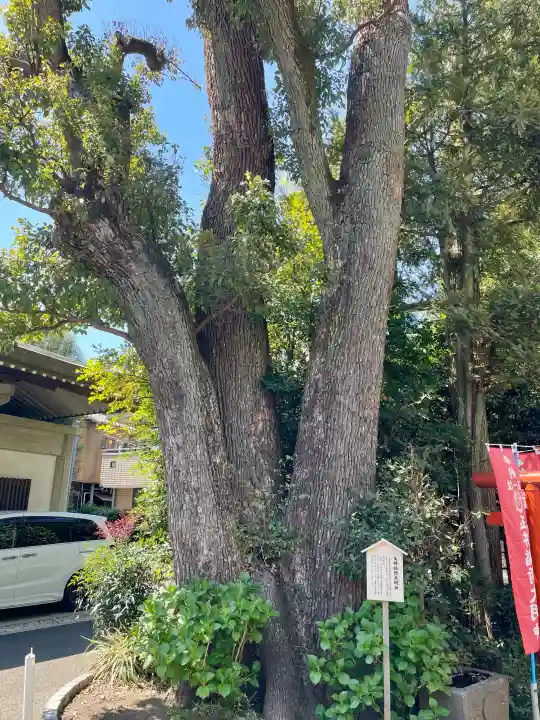 玉井稲荷神社の{uncategorized: "未分類", other: "その他", undefined: "問題あり", building: "その他建物", grave: "お墓", sacred_gate: "鳥居", guardian: "狛犬", statue: "像", buddha: "仏像", history: "歴史", nature: "自然", garden: "庭園", animal: "動物", pagoda: "塔", temizu: "手水舎", mountain_gate: "山門・神門", sanctuary: "本殿・本堂", subordinate: "末社・摂社", art: "芸術", scenery: "景色", jizo: "地蔵", ema: "絵馬", goshuin: "御朱印", omikuji: "おみくじ", items: "授与品その他", amulet: "お守り", goshuincho: "御朱印帳", eats: "食事", festival: "お祭り", votive_dance: "神楽", shichigosan: "七五三参", wedding: "結婚式", experience: "体験その他", initially: "初詣", around: "周辺", anti_infection: "感染症対策"}