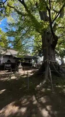白鳥神社(長野県)