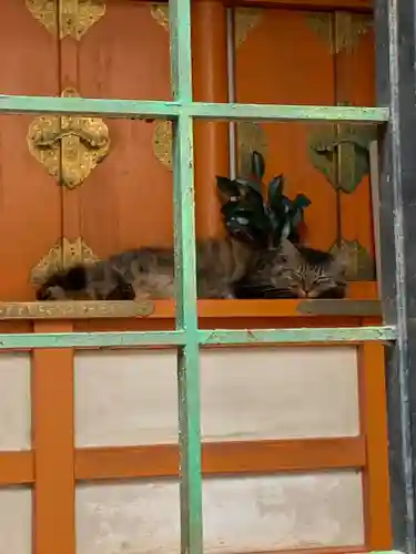 尼崎えびす神社の動物