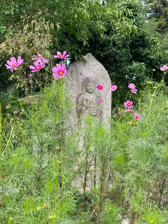 般若寺 ❁コスモス寺❁(奈良県)