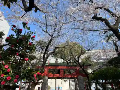 西出鎮守稲荷神社(兵庫県)